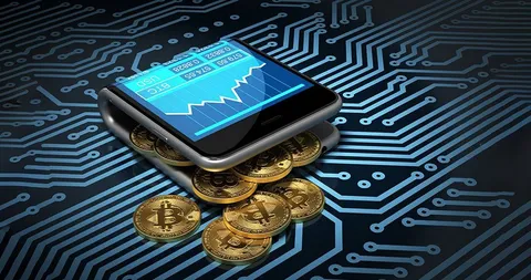 bitcoin wallet